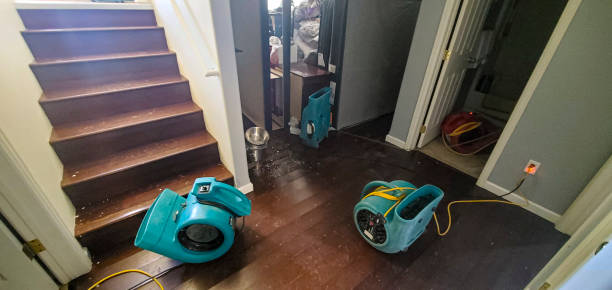 Best Water damage cleanup near me  in Edgewood, NM