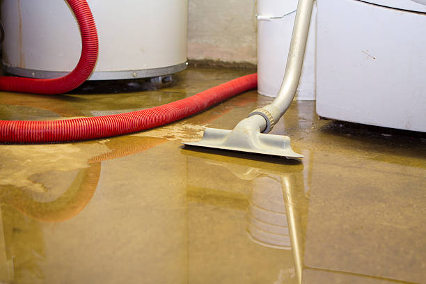  Edgewood, NM Water damage restoration Pros