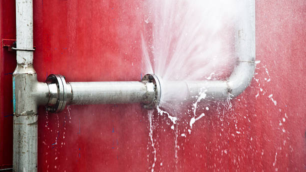 Best Water damage restoration near me  in Edgewood, NM